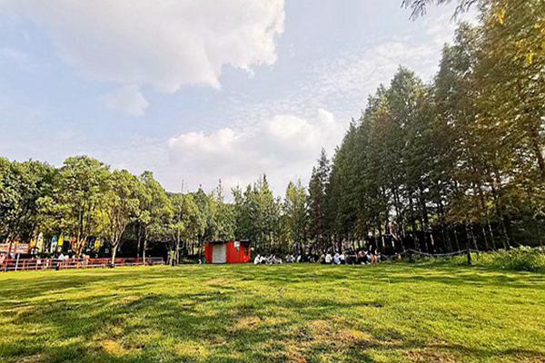 大連金普新區出重拳治揚塵 全力守護“清新藍”