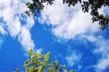 迎“藍”而上！直擊攀枝花、德陽、內江大氣攻堅現場