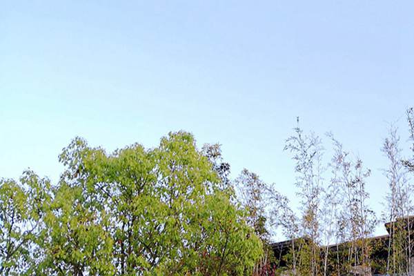 廢氣治理＋綠色運輸！安徽省第三生態環境保護督察組調研阜陽空氣質量提升攻堅 