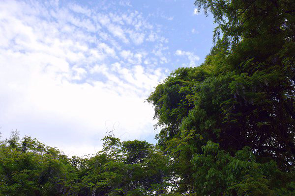 生態環境部部長黃潤秋出席甲烷與其他非二氧化碳溫室氣體峰會并會見外方高級代表